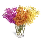 /images/ftd09white/C4-4026^1lg.jpg Beautiful Expressions Bouquet